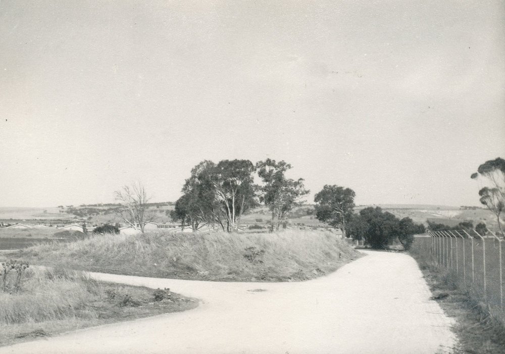 Central District Football Club: 1964