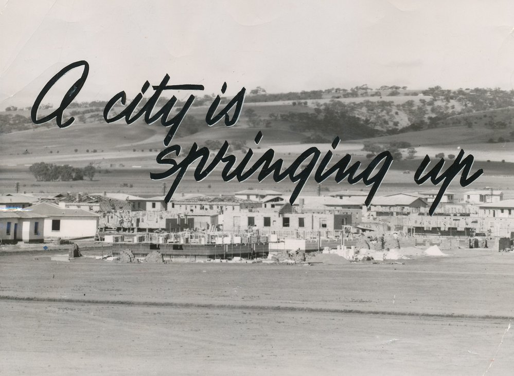 Elizabeth South: 1955