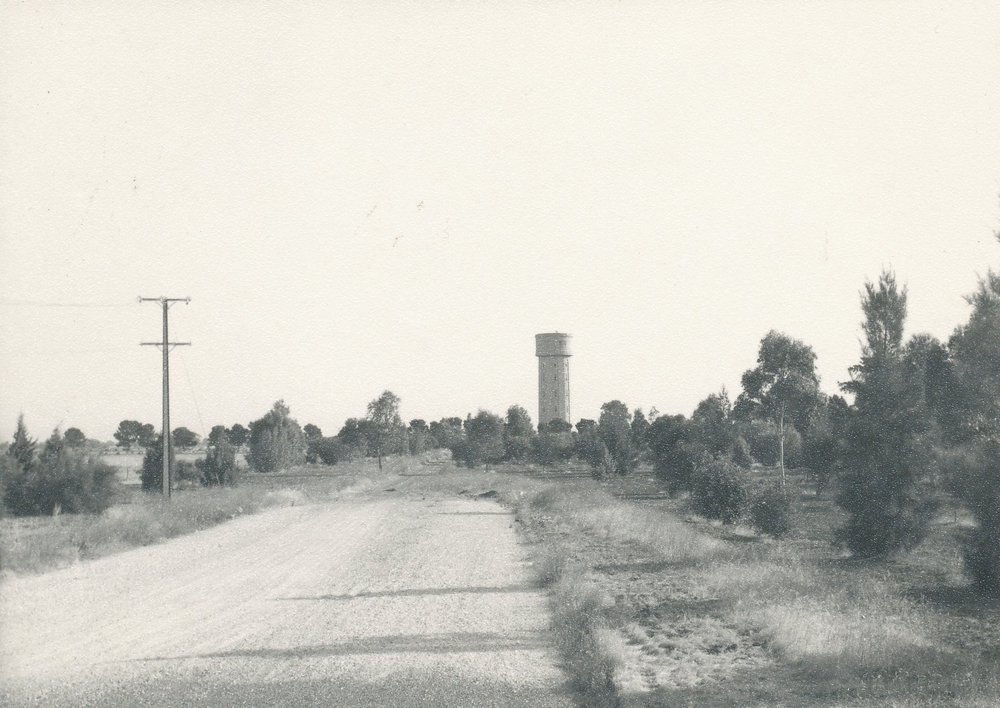 Elizabeth South: 1964