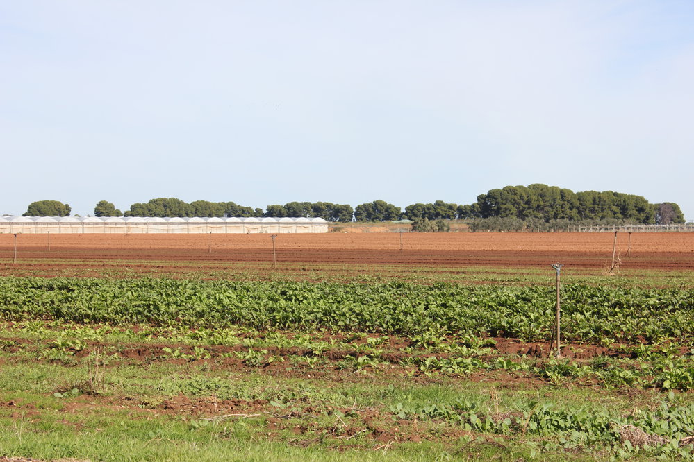 Angle Vale Road, Angle Vale: 2015