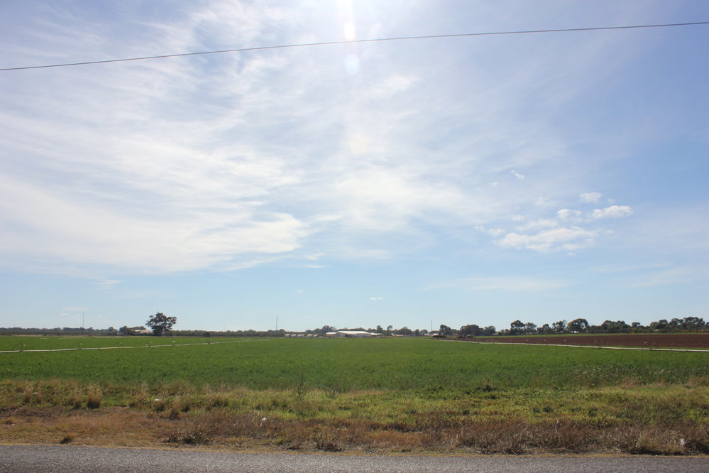 Angle Vale Road, Angle Vale: 2015