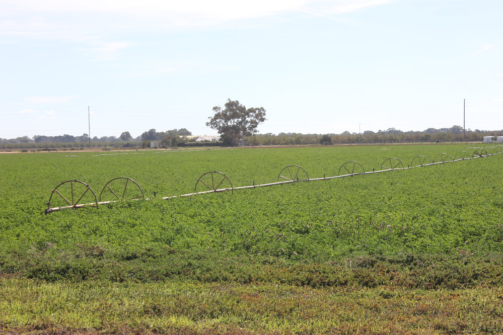 Angle Vale Road, Angle Vale: 2015