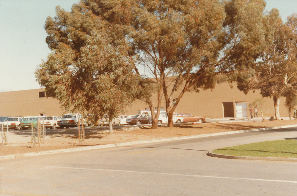 Elizabeth Town Centre: 1984