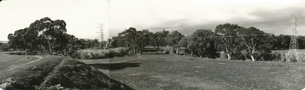 Carisbrooke Park, Salisbury Park