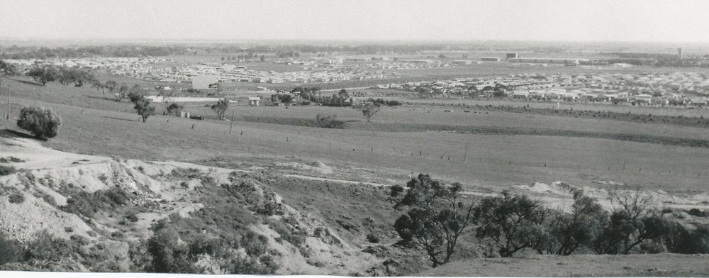 Elizabeth Vale and Elizabeth Grove: 1960