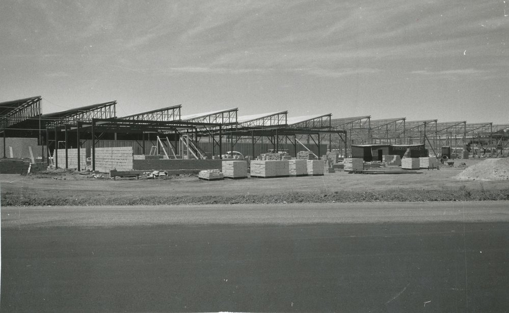 Diecasters Limited: 1961