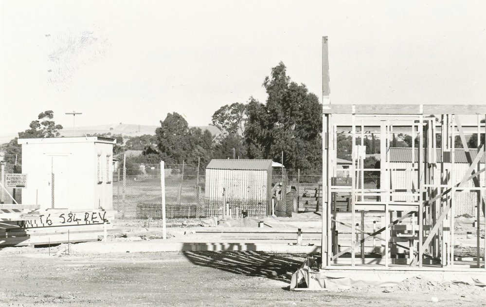 Elizabeth Downs: 1978.