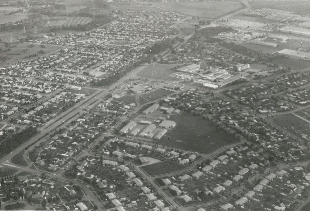 Elizabeth Vale: 1975.