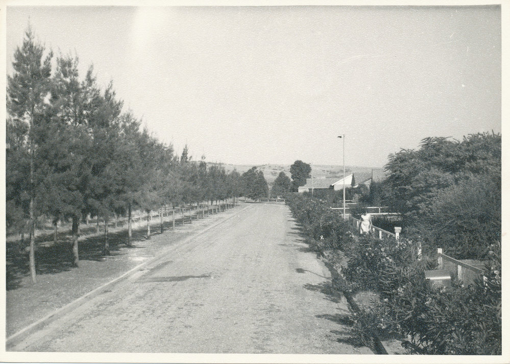 Blake Road, Elizabeth South: 1964