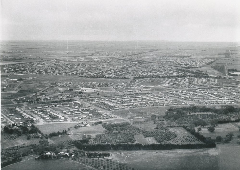 Elizabeth Grove/ Vale: 1964