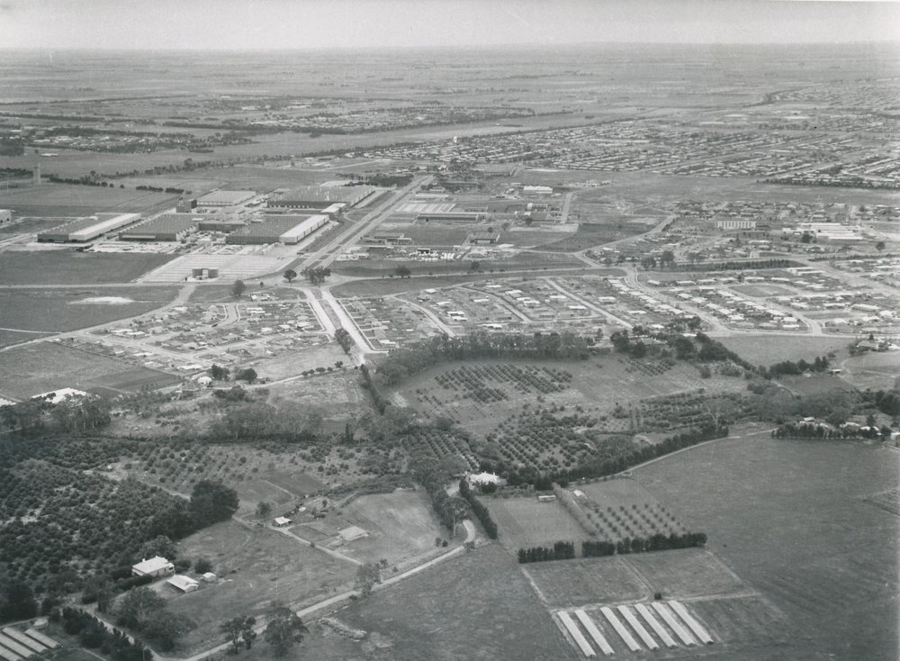 Elizabeth Vale: 1964