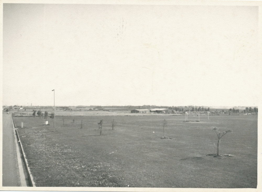 Dauntsey Reserve, Elizabeth: 1963