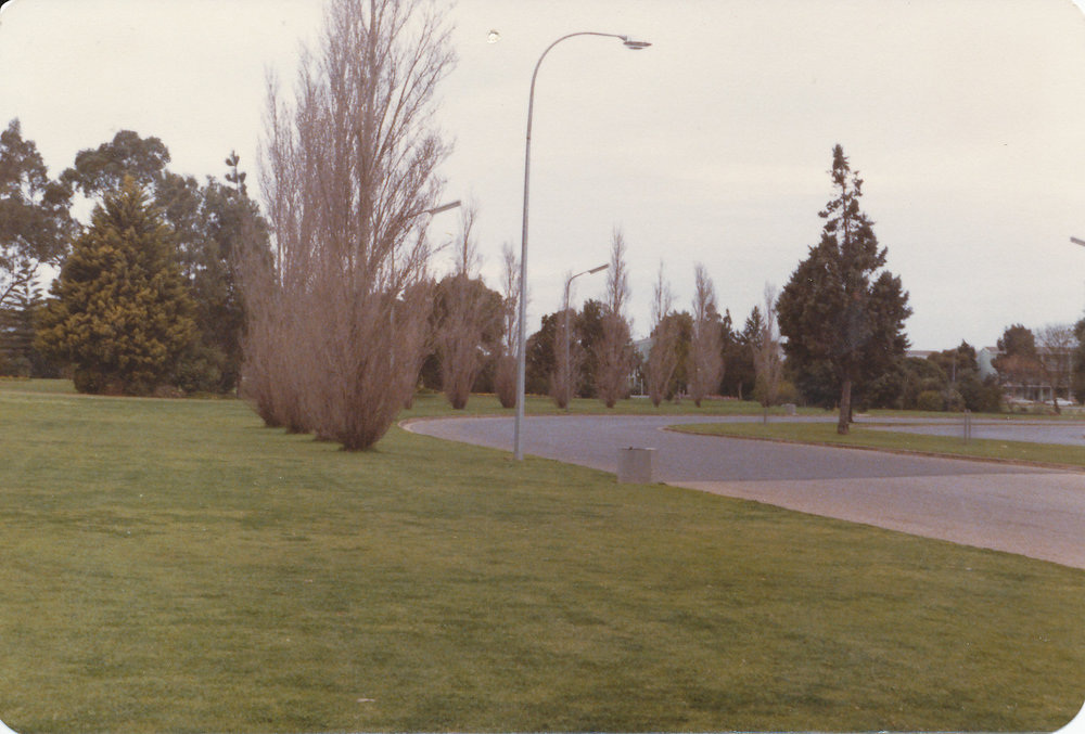 Elizabeth Town Centre