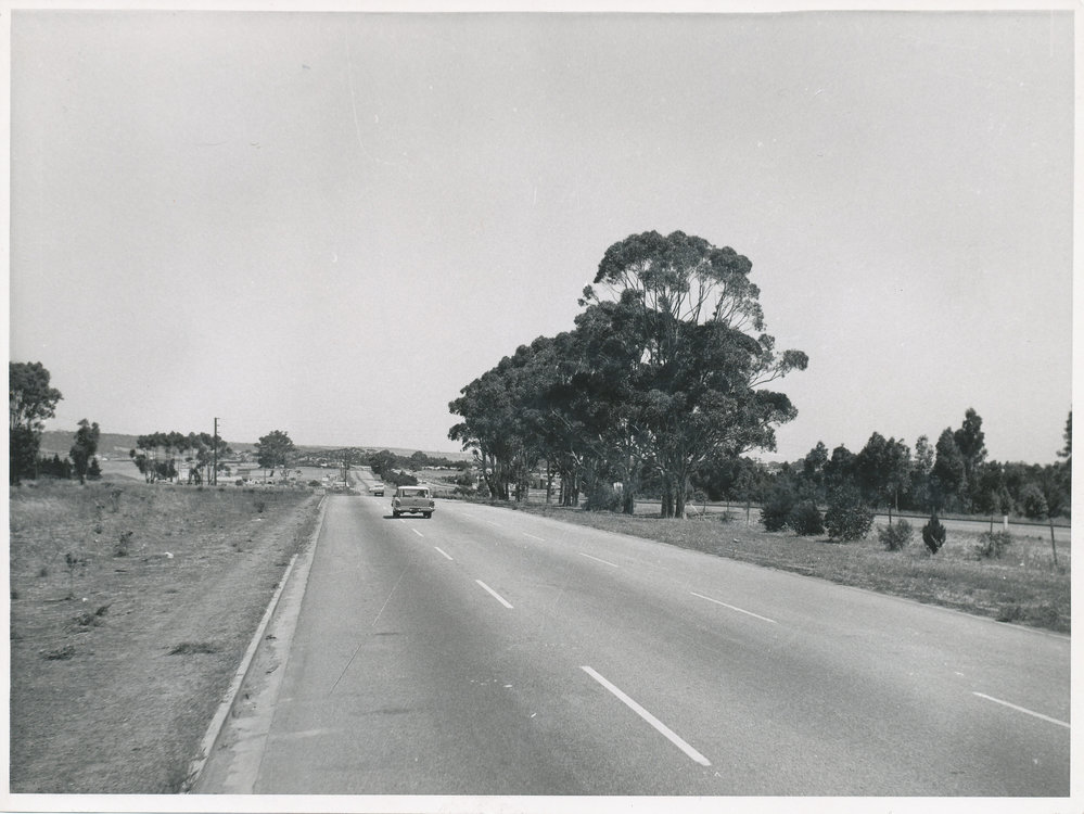 Main North Road: 1965