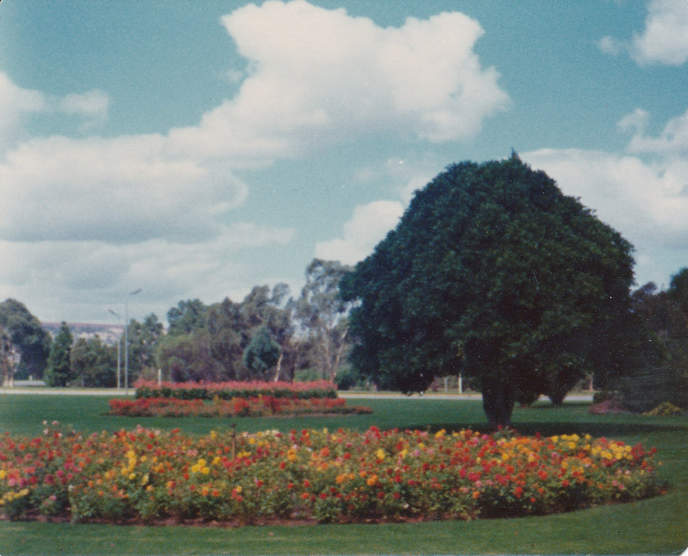 Elizabeth City Centre: 1975.