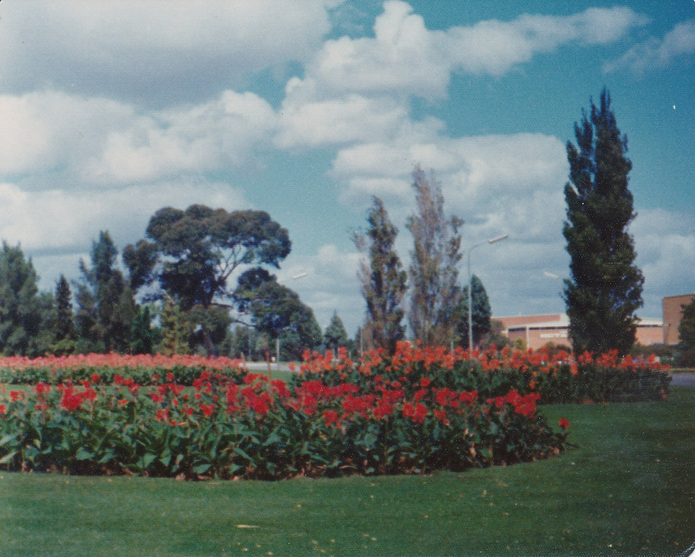 Elizabeth City Centre: 1975.