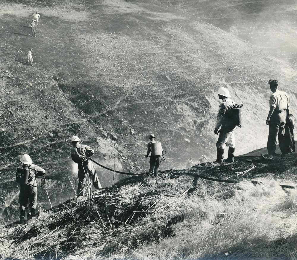 Fire Fighting: 1964.