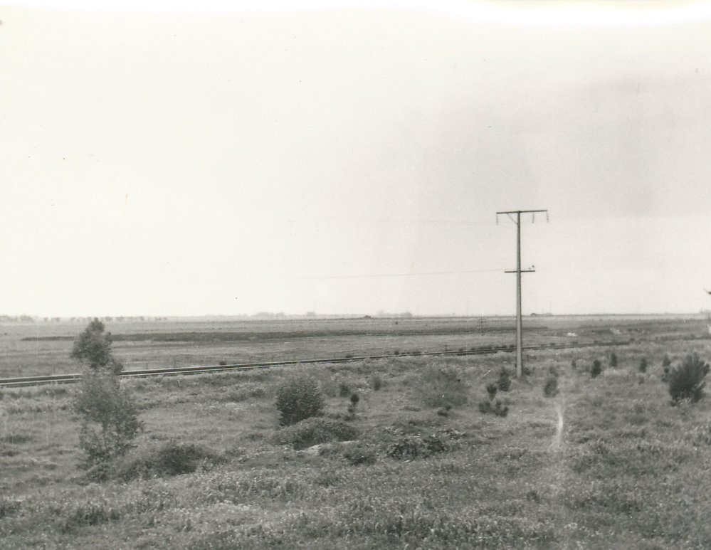 Elizabeth West Train Line: 1960.