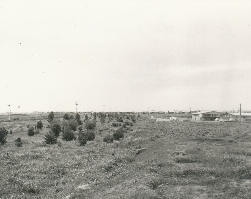 Elizabeth West: 1960.