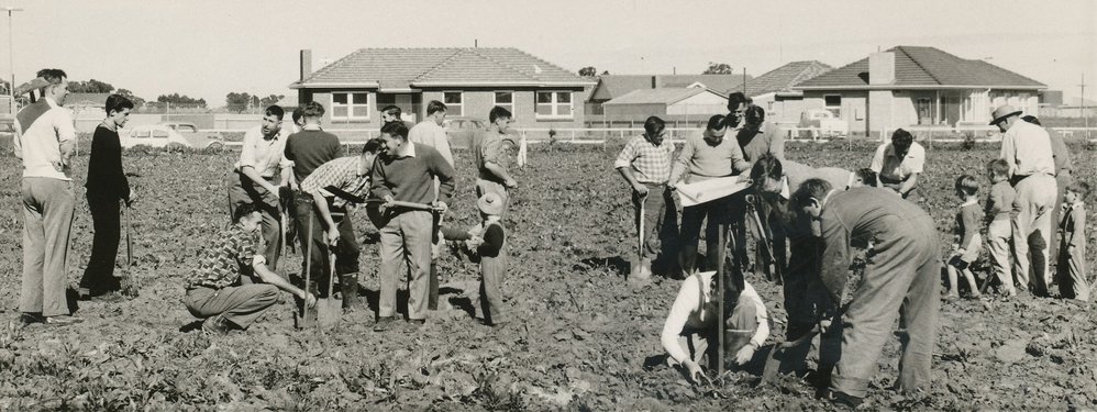 Lyell McEwin Hospital: 1960.