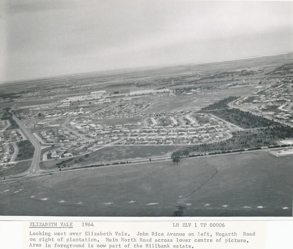 Elizabeth Vale: 1964