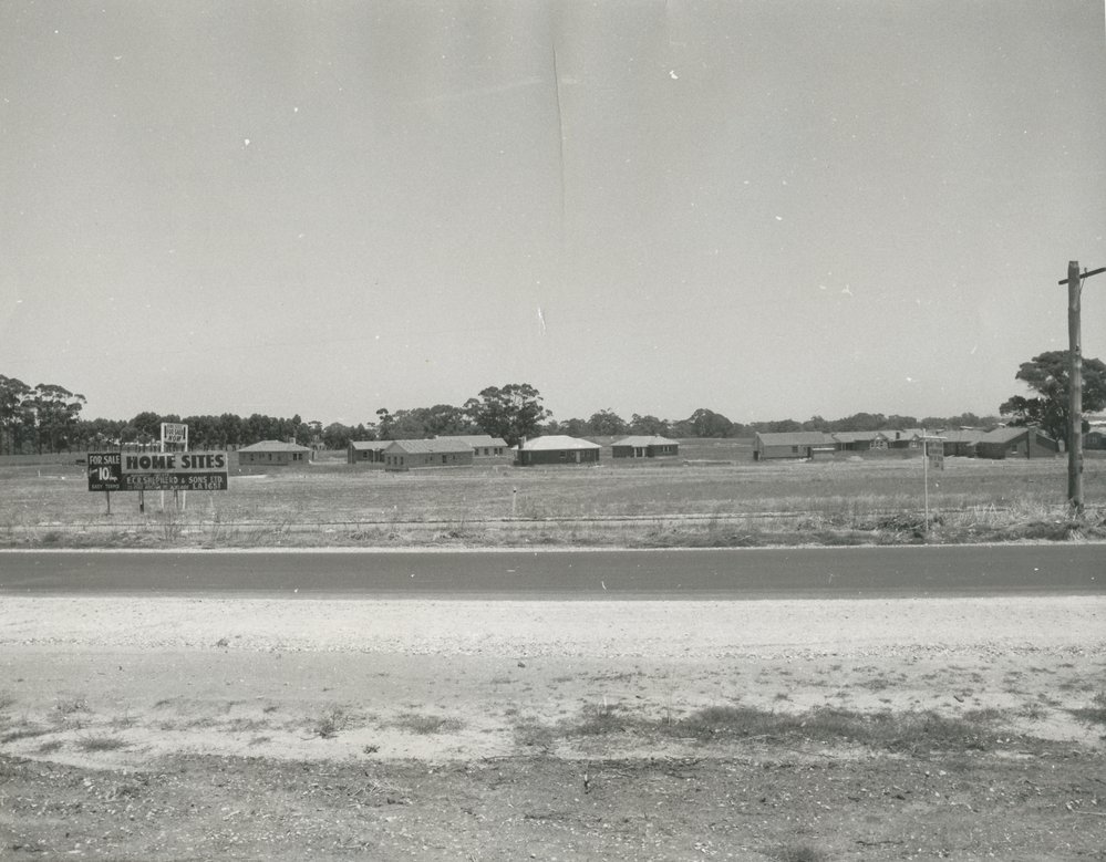 Elizabeth Vale: 1961