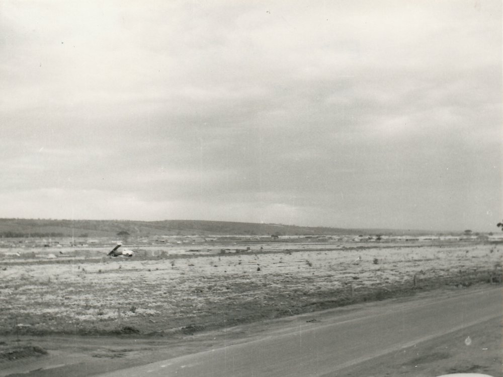 Elizabeth Park: 1960