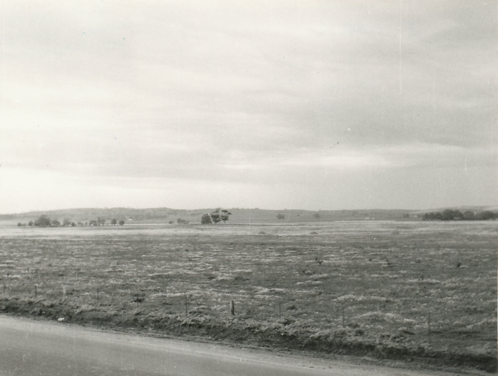 Elizabeth Park: 1960