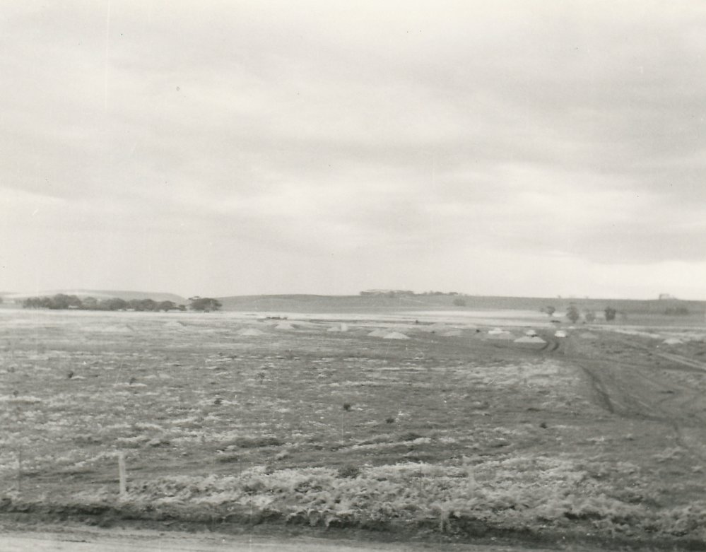 Elizabeth Park: 1960