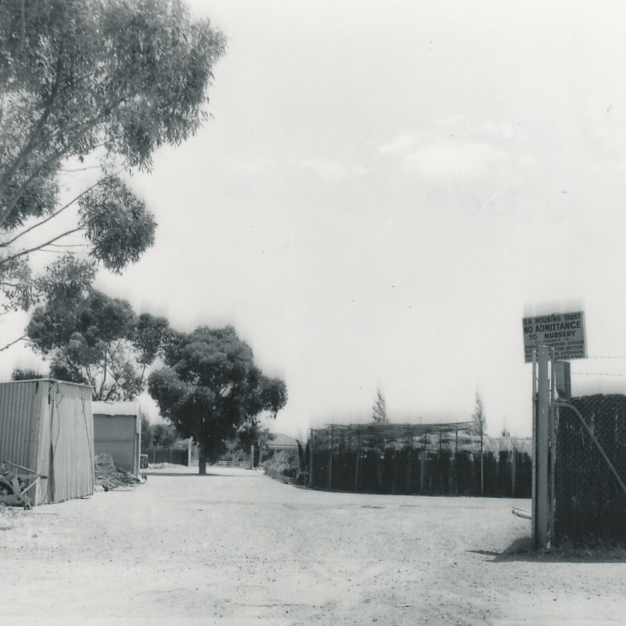South Australian Housing Trust Nursery, Elizabeth: 1960's