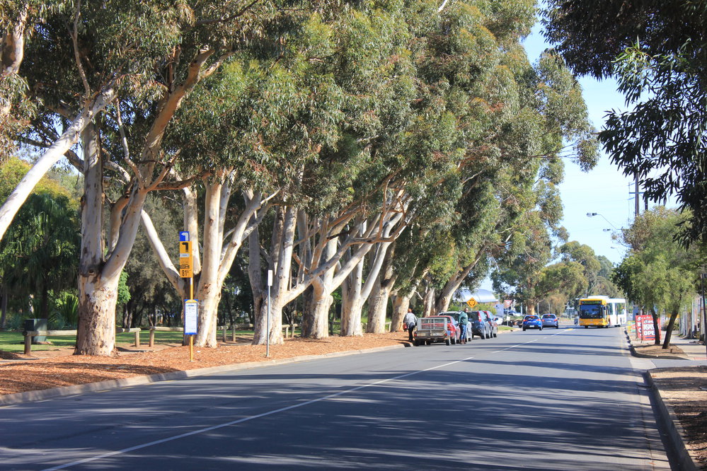 Anderson Walk, Smithfield.