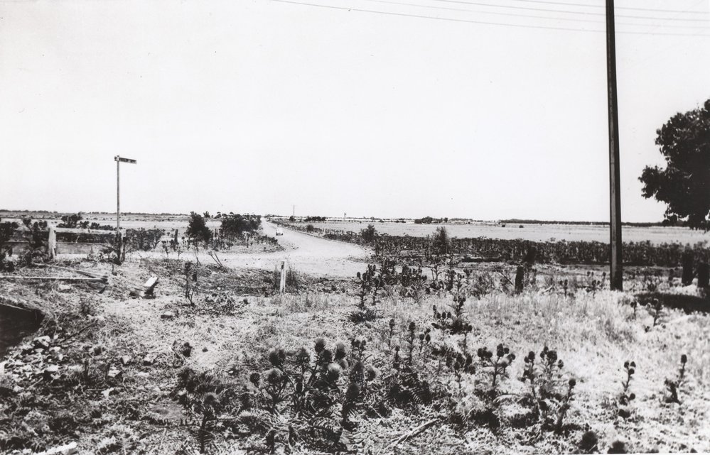 Philip Highway: 1956