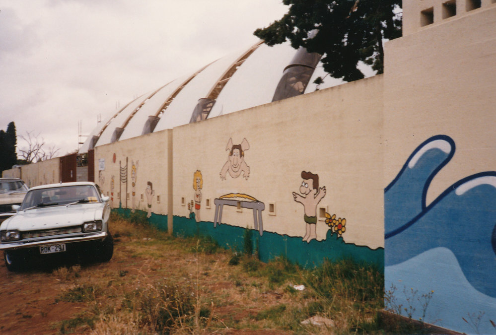 Mural on external wall at Elizabeth Swimming Centre
