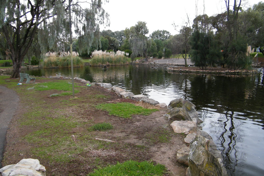 Fremont Park: 2011