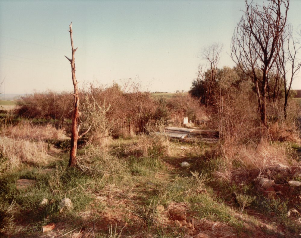 Uleybury Chapel Grounds, One Tree Hill: 1984