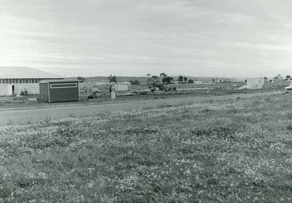 Bethbury Swimming Pool, Elizabeth: 1960
