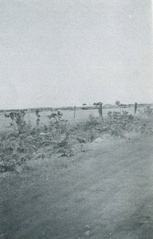 Phillip Highway: 1950's