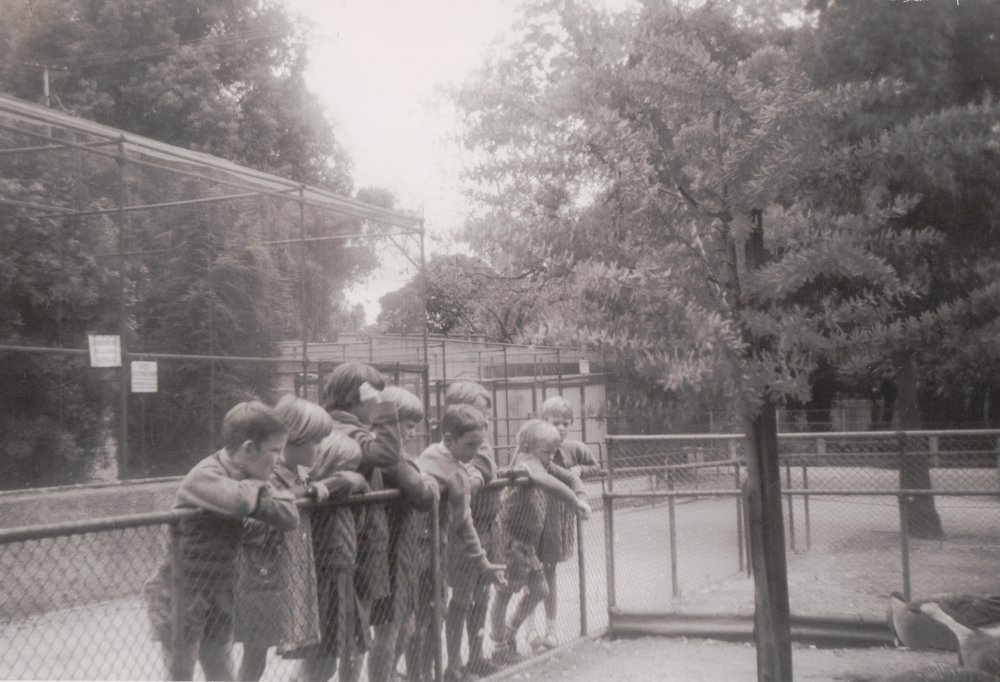 A trip to the zoo: 1964