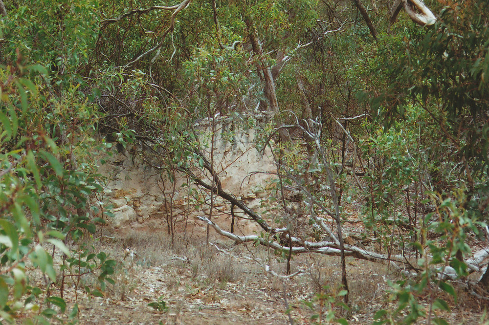 Lady Alice Mine ruins