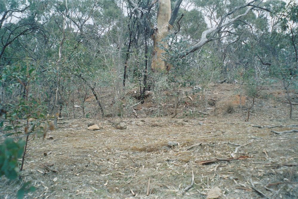 Lady Alice Mine ruins