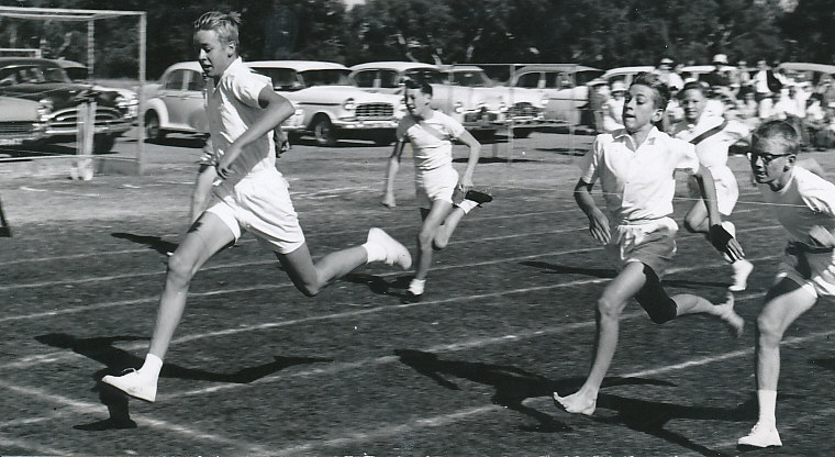 Sub junior boys running 50 yards