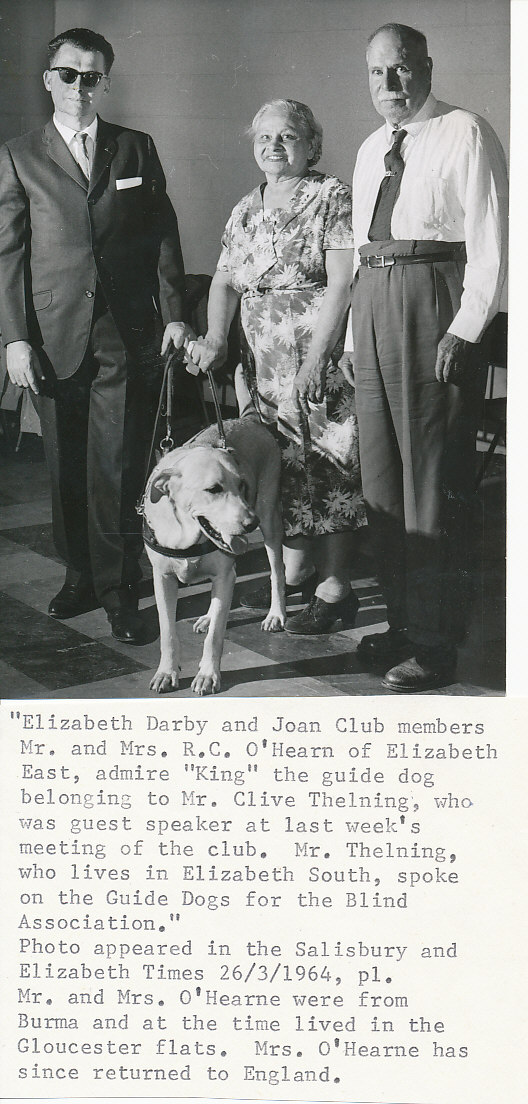 Admiring "King" the guide dog