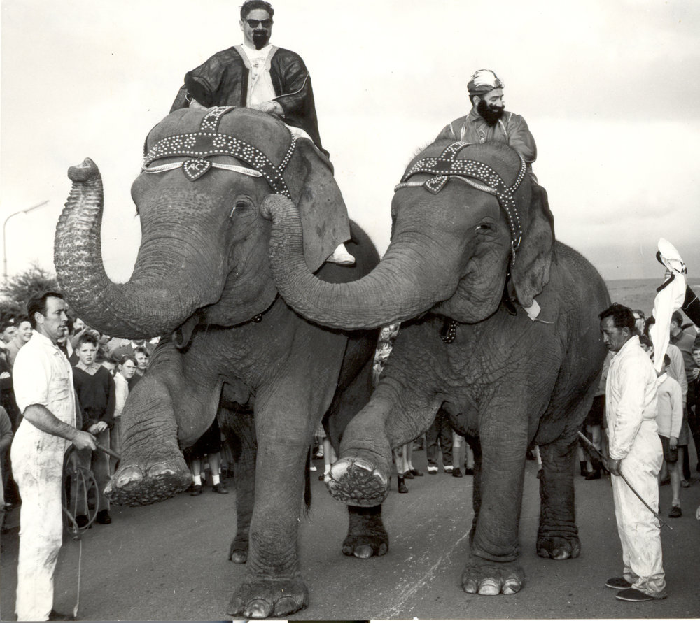 Elizabeth Lions Club Fundraiser: 1963