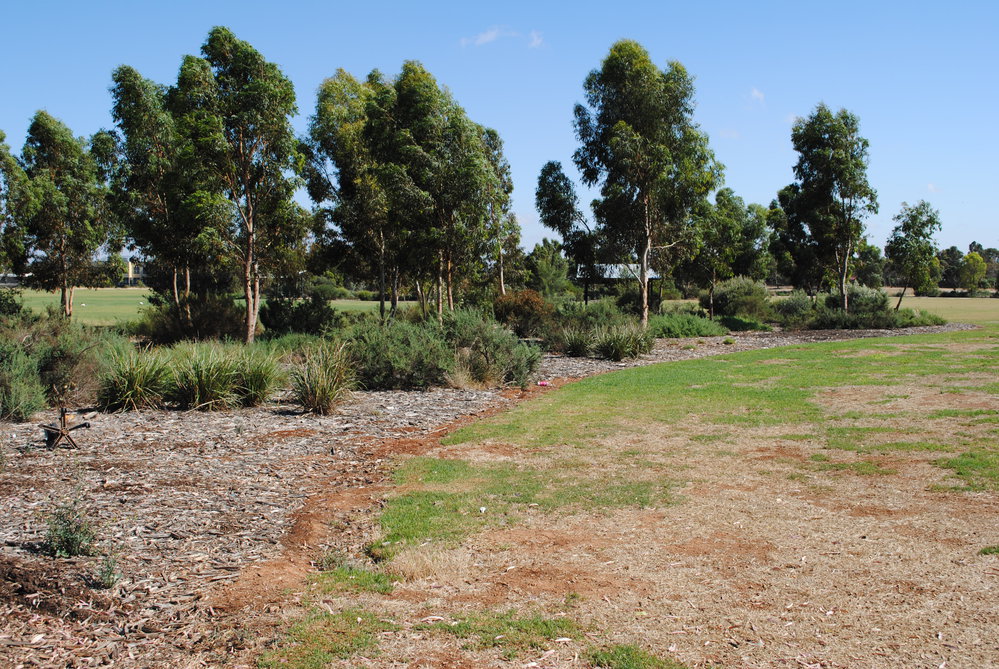 Stebonheath Park, Smithfield Plains: 2011