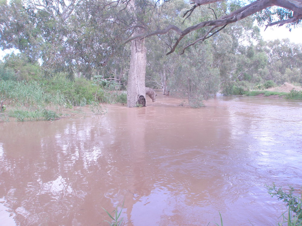 Blake's Road, Virginia in flood: 2010