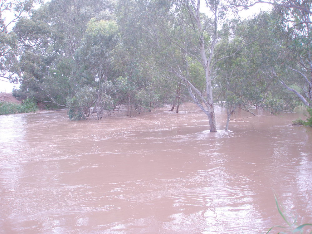 Baker's Road, Virginia in flood: 2010