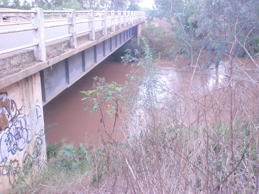 Gawler River in Flood: 2010