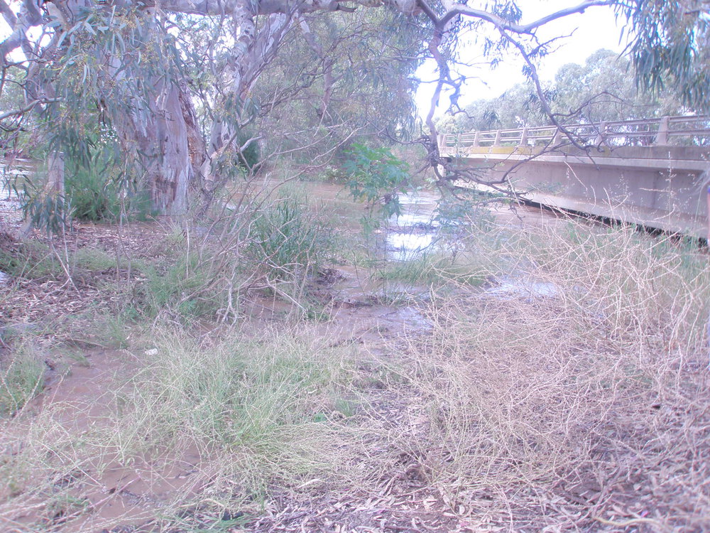 Gawler River in Flood: 2010