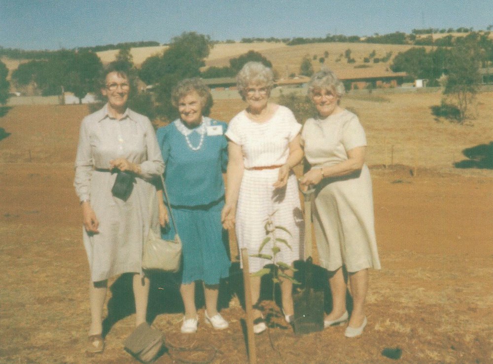 Trefoil Guide Tree Planting