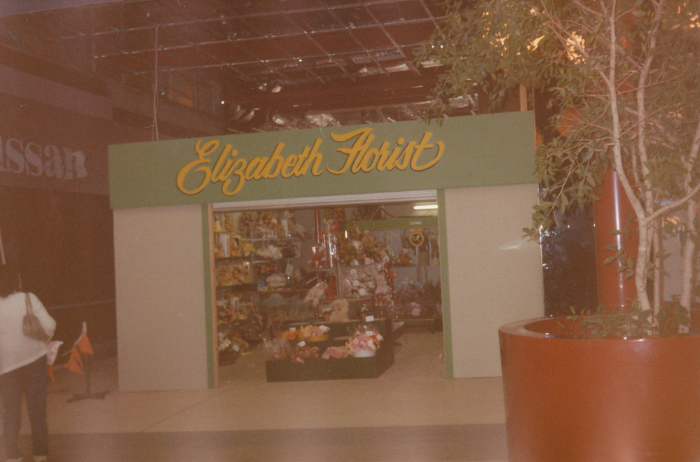 Elizabeth City Centre